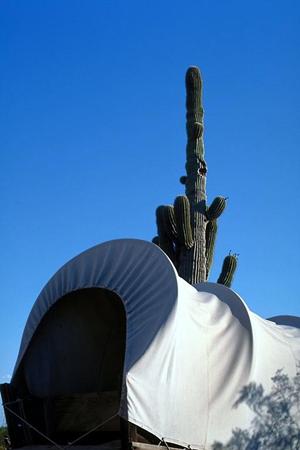 高松駅から徒歩5分の便利な立地！東横INN高松駅前についての全て