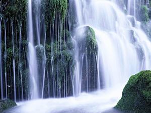 川崎駅徒歩5分の快適ビジネスホテル【東横INN川崎駅前市役所通】の魅力と詳細情報