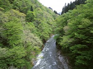 マルセイユの快適な宿泊体験を実現！東横INNマルセイユサンシャルルの魅力と特徴