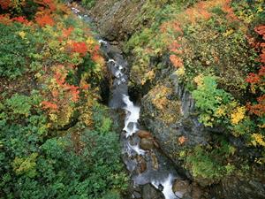 【公式・最新情報】東横INN福山駅新幹線南口の魅力と詳細ガイド