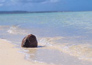群馬県高崎市の便利なビジネスホテル【東横INN高崎駅西口1】の魅力と詳細情報