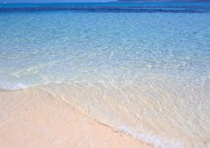 【公式】東横INN北戸田駅東口｜埼玉県戸田市の快適なビジネスホテルと便利なアクセス情報