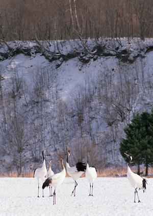 鶯谷駅前に位置するビジネスホテル「東横INN鶯谷駅前」の魅力と詳細情報
