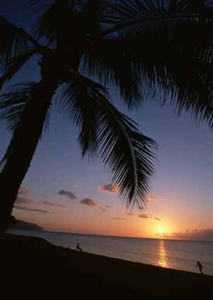 横浜・新横浜のビジネスホテル「東横INN新横浜駅前新館」の魅力と詳細情報
