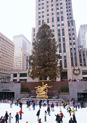 東横イン中部国際空港1 ? 空港アクセス抜群のビジネスホテル、快適な滞在を提供