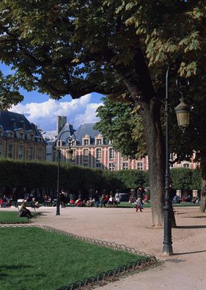 乗馬クラブを神戸でお探しですか