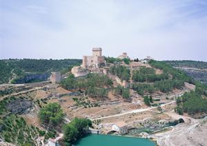 かわいい動物が迎えてくれる癒しの空間