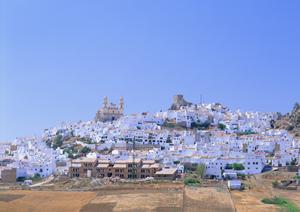 静岡市中心部に位置するガーデンホテル静岡｜快適な滞在と便利なアクセスを提供