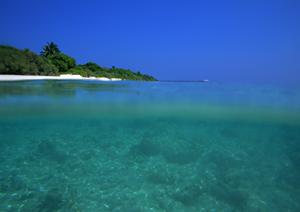 リーズナブルな値段のクルーズ