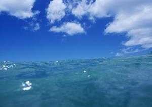 旭川駅近の快適ビジネスホテル｜東横INN旭川駅東口の魅力と詳細情報