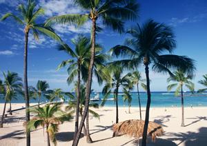 滋賀県草津市にある東横INN琵琶湖線南草津駅西口：快適なビジネスと観光の拠点